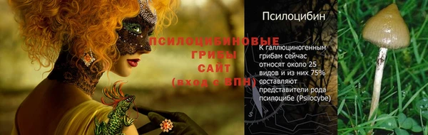 наркотики Новозыбков
